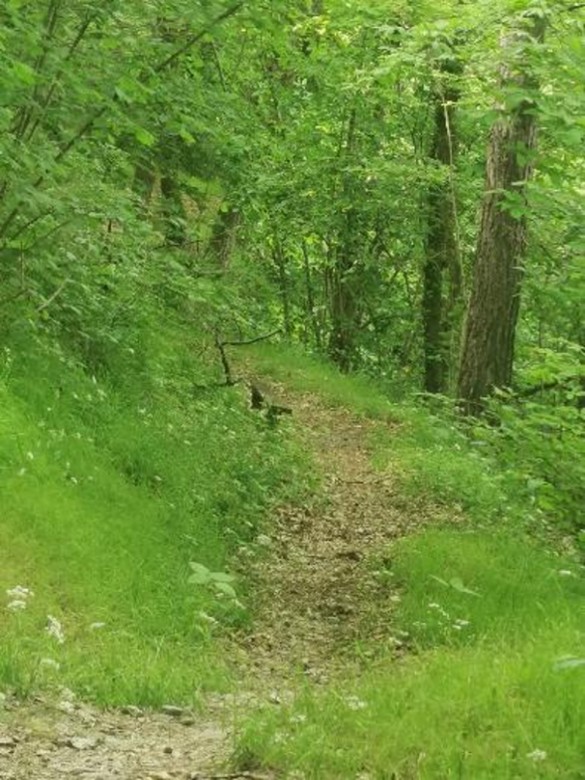 Il-tracciato-preesistente-56c86afbcbc230183ea5a8c4a987da85
